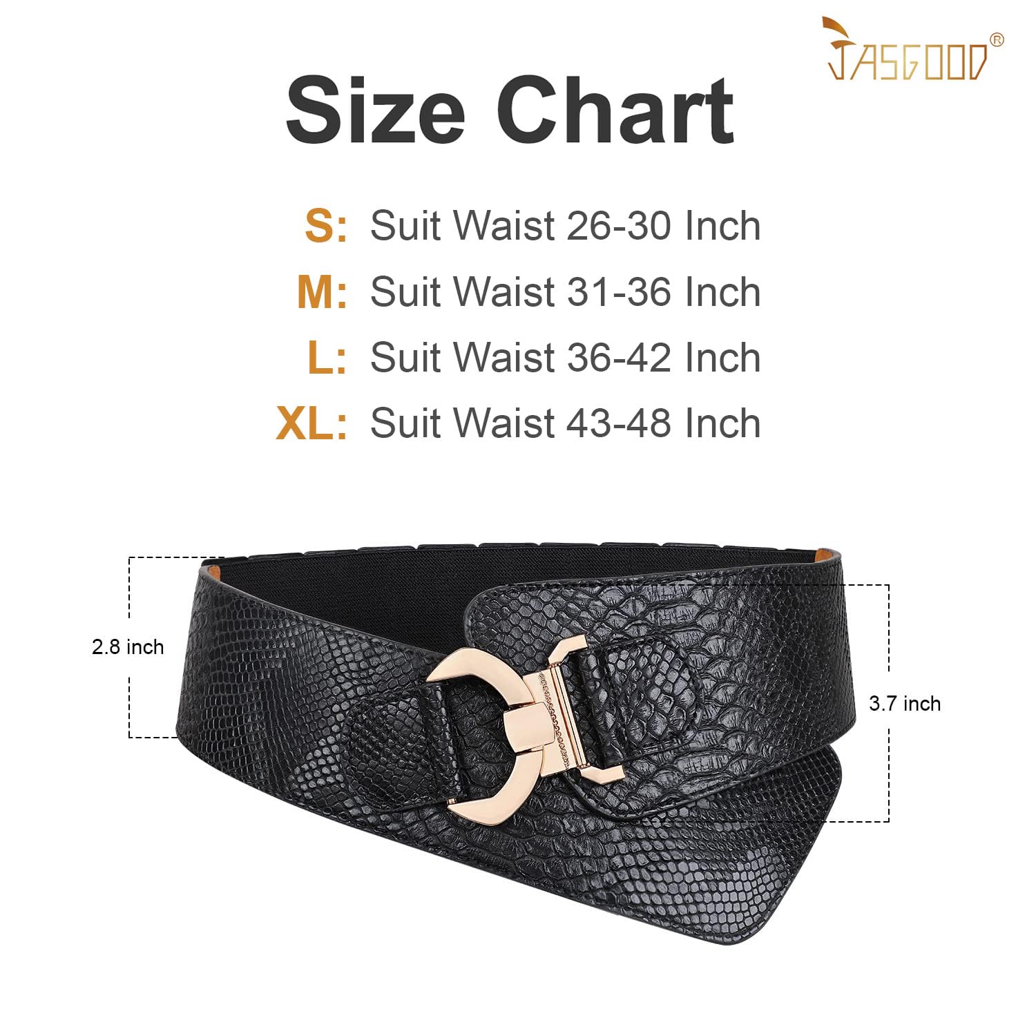 Gold Interlock Buckle Elastic Wide Belt