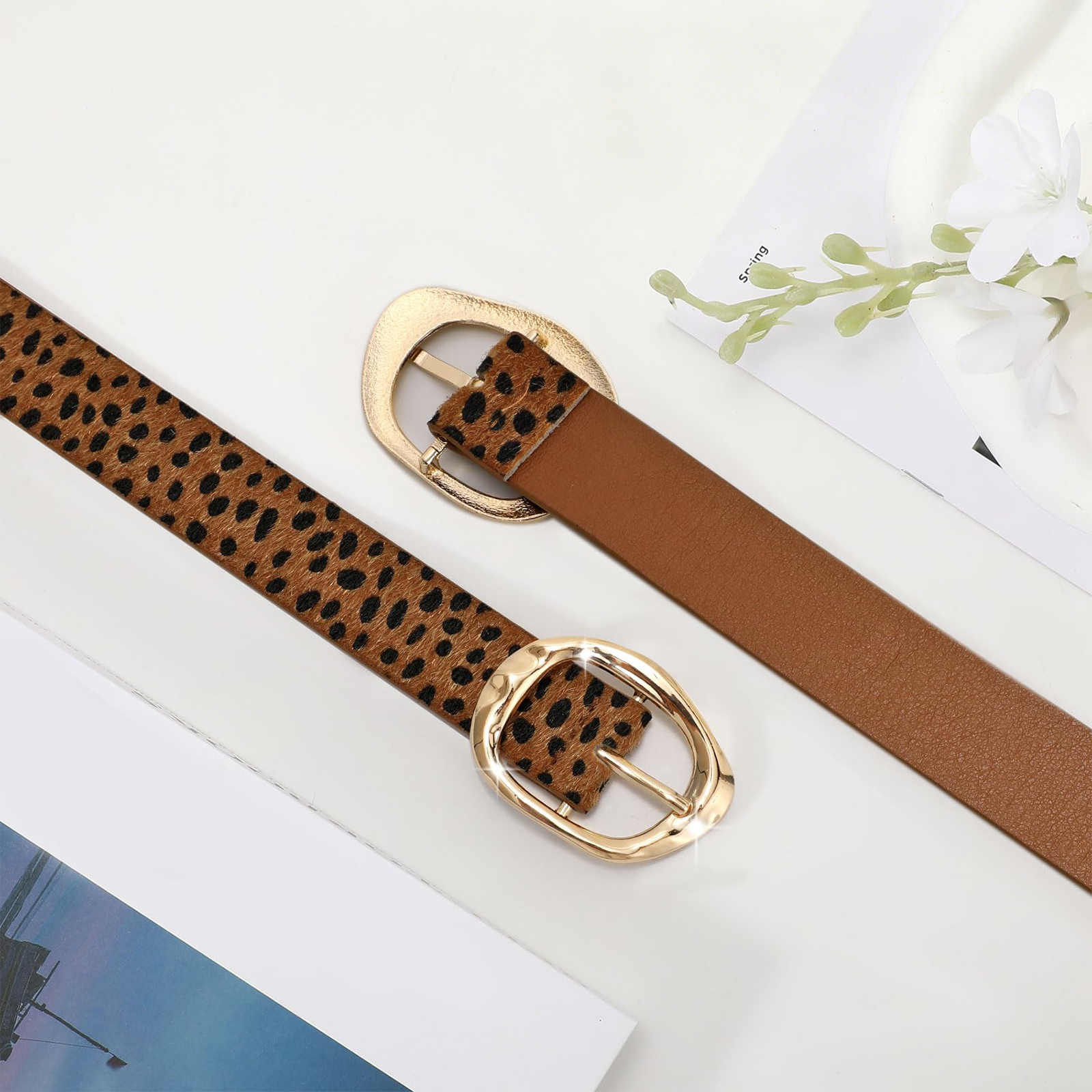 #Color_leopard