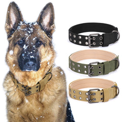 Double-breasted Adjustable Adjustable Tag Dog Collar