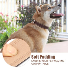 Super Soft Brown Leather Dog Collar With Strong Metal Buckle