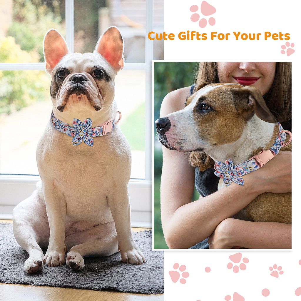 Metal Buckle Dog Collar Durable Adjustable Dog Collar