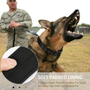 Double-breasted Adjustable Adjustable Tag Dog Collar