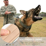 Double-breasted Adjustable Adjustable Tag Dog Collar