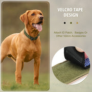 Double-breasted Adjustable Adjustable Tag Dog Collar