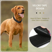 Double-breasted Adjustable Adjustable Tag Dog Collar