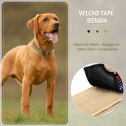 Double-breasted Adjustable Adjustable Tag Dog Collar