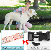Metal Buckle Dog Collar Durable Adjustable Dog Collar