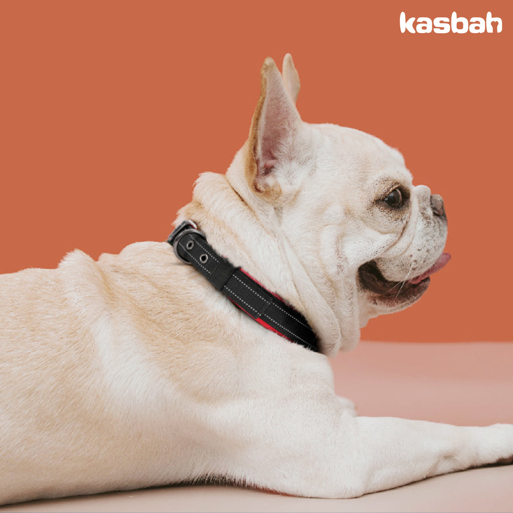 Comfortable Neoprene Padded Reflective Dog Pet Collar