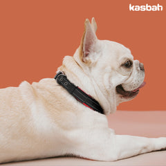 Comfortable Neoprene Padded Reflective Dog Pet Collar