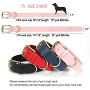 Soft Comfort Leather Dog Collar With Strong Metal Buckle