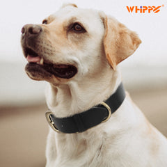 Soft Comfort Leather Dog Collar With Strong Metal Buckle