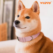 Soft Comfort Leather Dog Collar With Strong Metal Buckle