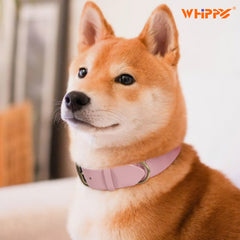 Soft Comfort Leather Dog Collar With Strong Metal Buckle