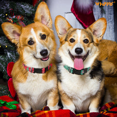 Soft Comfortable Puppy Red Green Christmas Pet Collars
