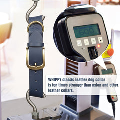 Soft Comfort Leather Dog Collar With Strong Metal Buckle