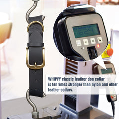 Soft Comfort Leather Dog Collar With Strong Metal Buckle