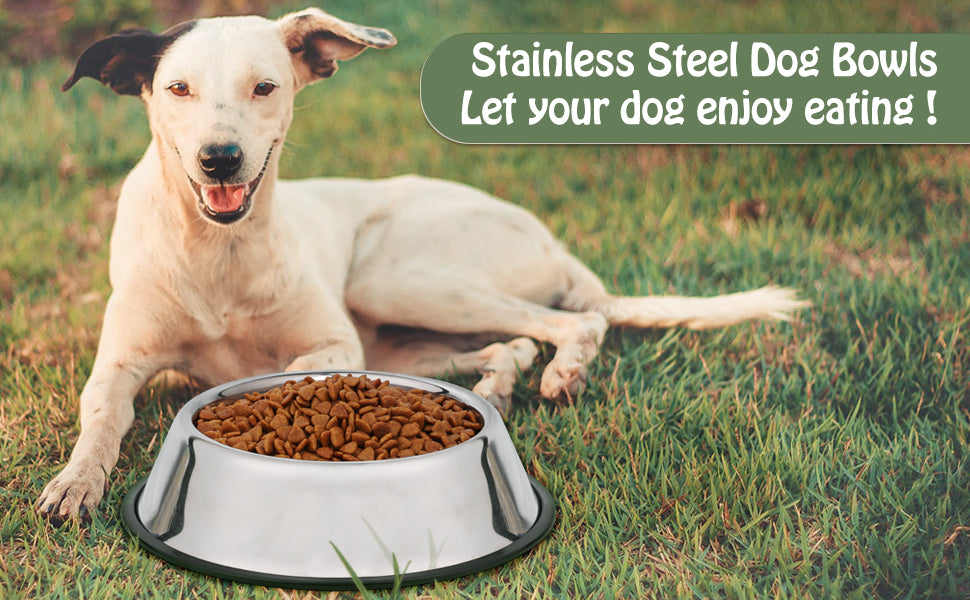 Stainless Steel Dog Bowl for Small/Medium/Large Dog,Cat,Pet-Food/Water Bowls with Rubber Base Reduce Spill Set of 2 - JASGOOD OFFICIAL