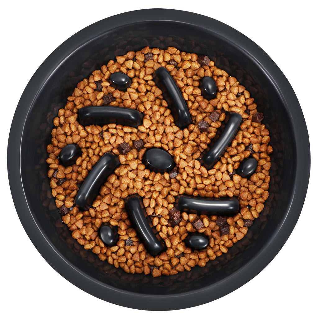 Dog Feeder Slow Eating Bowl for Raised Pet Feeders JASGOOD Maze Food Water Insert Bowl Compatible with Elevated Diners… - JASGOOD OFFICIAL