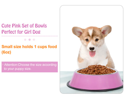 Stainless Steel Dog Bowl for Small/Medium/Large Dog,Cat,Pet-Food/Water Bowls with Rubber Base Reduce Spill Set of 2 - JASGOOD OFFICIAL