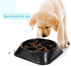 Dog Feeder Slow Eating Pet Bowl Eco-friendly Durable Non-Toxic Preventing Choking Healthy Design Bowl For Dog Pet by JASGOOD - JASGOOD OFFICIAL