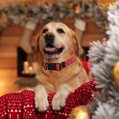 Adjustable Air Tag Collar With Quick Release Buckle For Dog