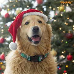 Adjustable Air Tag Collar With Quick Release Buckle For Dog