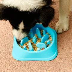 Dog Feeder Slow Eating Pet Bowl Eco-friendly Durable Non-Toxic Preventing Choking Healthy Design Bowl For Dog Pet by JASGOOD 