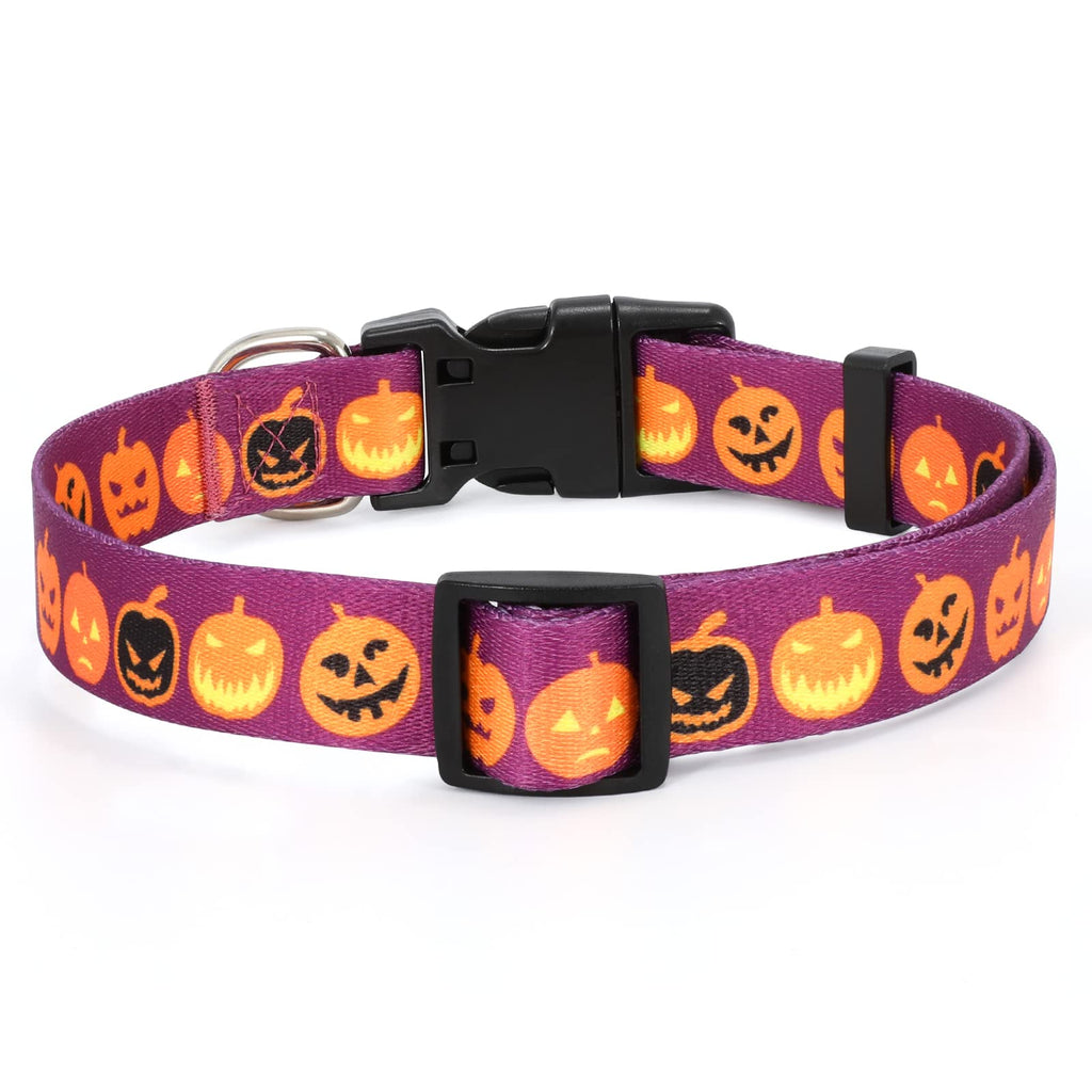 WHIPPY Girl Floral Collar for Small Medium Large Dog Adjustable Lightweight Nylon Flower Print Dog Collar with Quick Release Buckle Personalized Soft Comfortable Puppy Collar