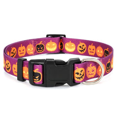 WHIPPY Girl Floral Collar for Small Medium Large Dog Adjustable Lightweight Nylon Flower Print Dog Collar with Quick Release Buckle Personalized Soft Comfortable Puppy Collar