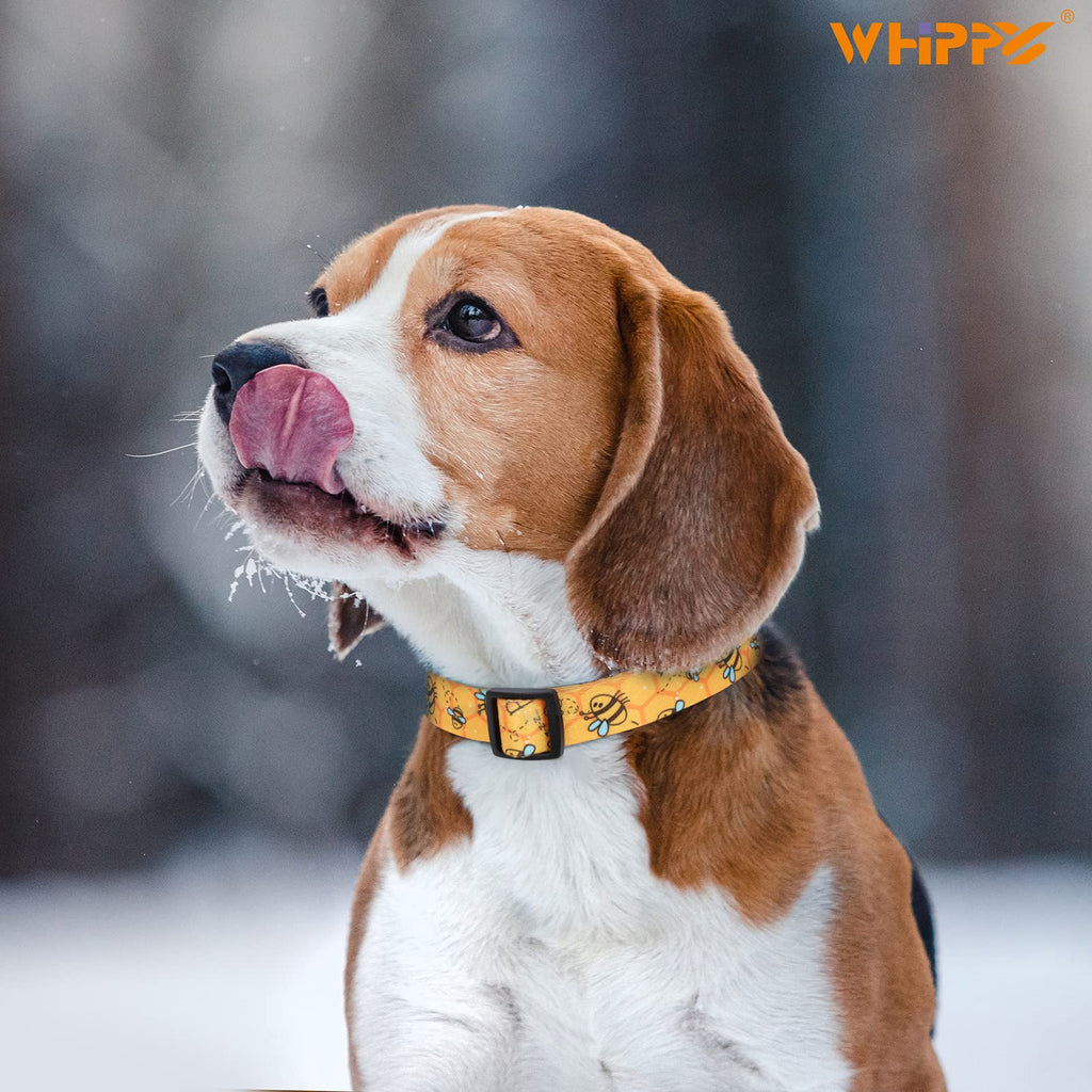 WHIPPY Girl Floral Collar for Small Medium Large Dog Adjustable Lightweight Nylon Flower Print Dog Collar with Quick Release Buckle Personalized Soft Comfortable Puppy Collar