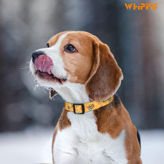 WHIPPY Girl Floral Collar for Small Medium Large Dog Adjustable Lightweight Nylon Flower Print Dog Collar with Quick Release Buckle Personalized Soft Comfortable Puppy Collar