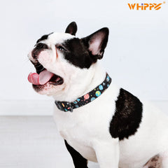 WHIPPY Girl Floral Collar for Small Medium Large Dog Adjustable Lightweight Nylon Flower Print Dog Collar with Quick Release Buckle Personalized Soft Comfortable Puppy Collar