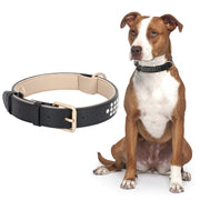 Diamond-Studded Pet Collar Waterproof Leather Soft Neoprene Padded Adjustable Dog Collar for Small Medium Large Dogs