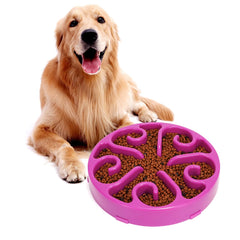 JASGOOD Slow Feeder Dog Bowl Slow Eat Feeder for Fun Slow Feeding Interactive Bloat Stop Dog Bowls