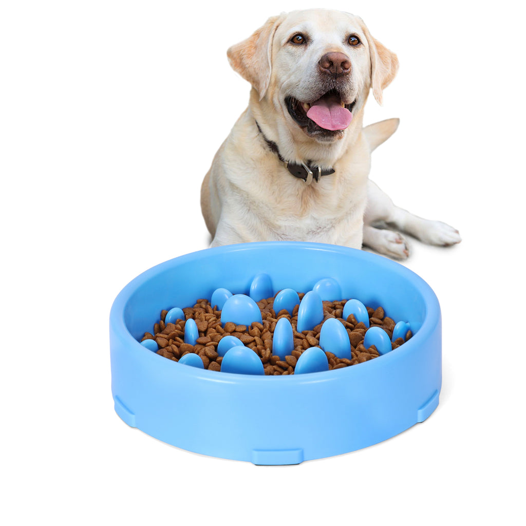 JASGOOD Dog Feeder Slow Eating Eco-Friendly Durable Non-Toxic Preventing  Choking Healthy Design Bowl for Pet Stop Bloat